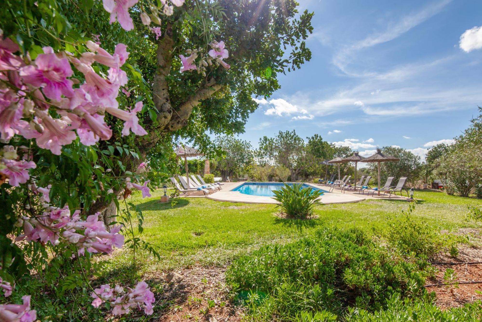 Finca Son Marimon (Adults Only) Santanyí Kültér fotó