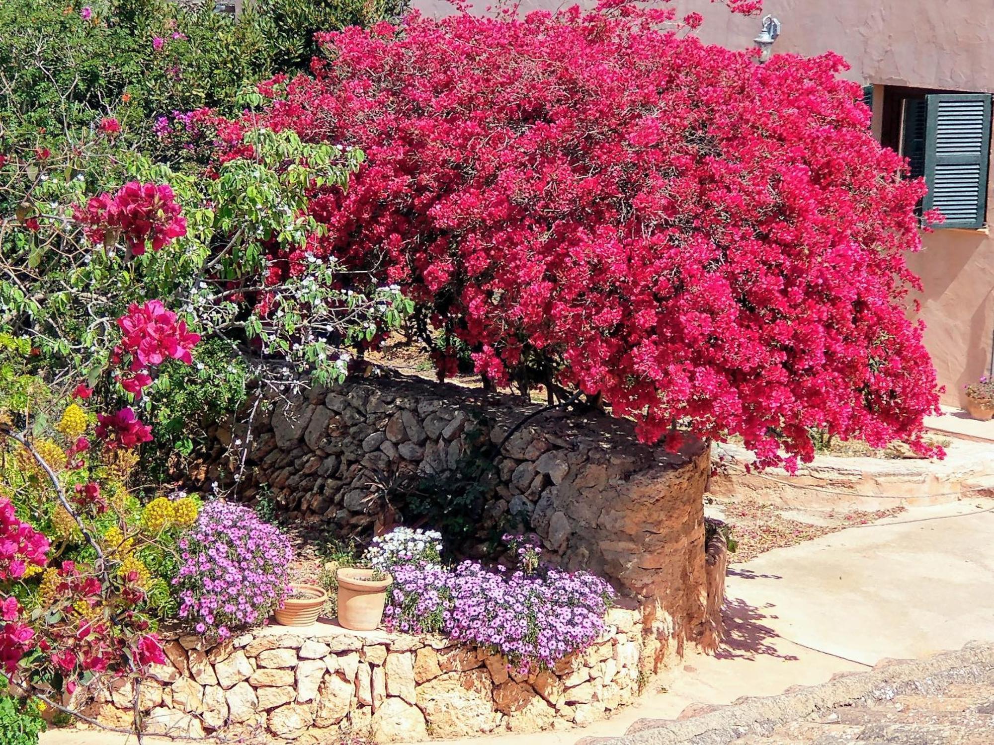 Finca Son Marimon (Adults Only) Santanyí Kültér fotó