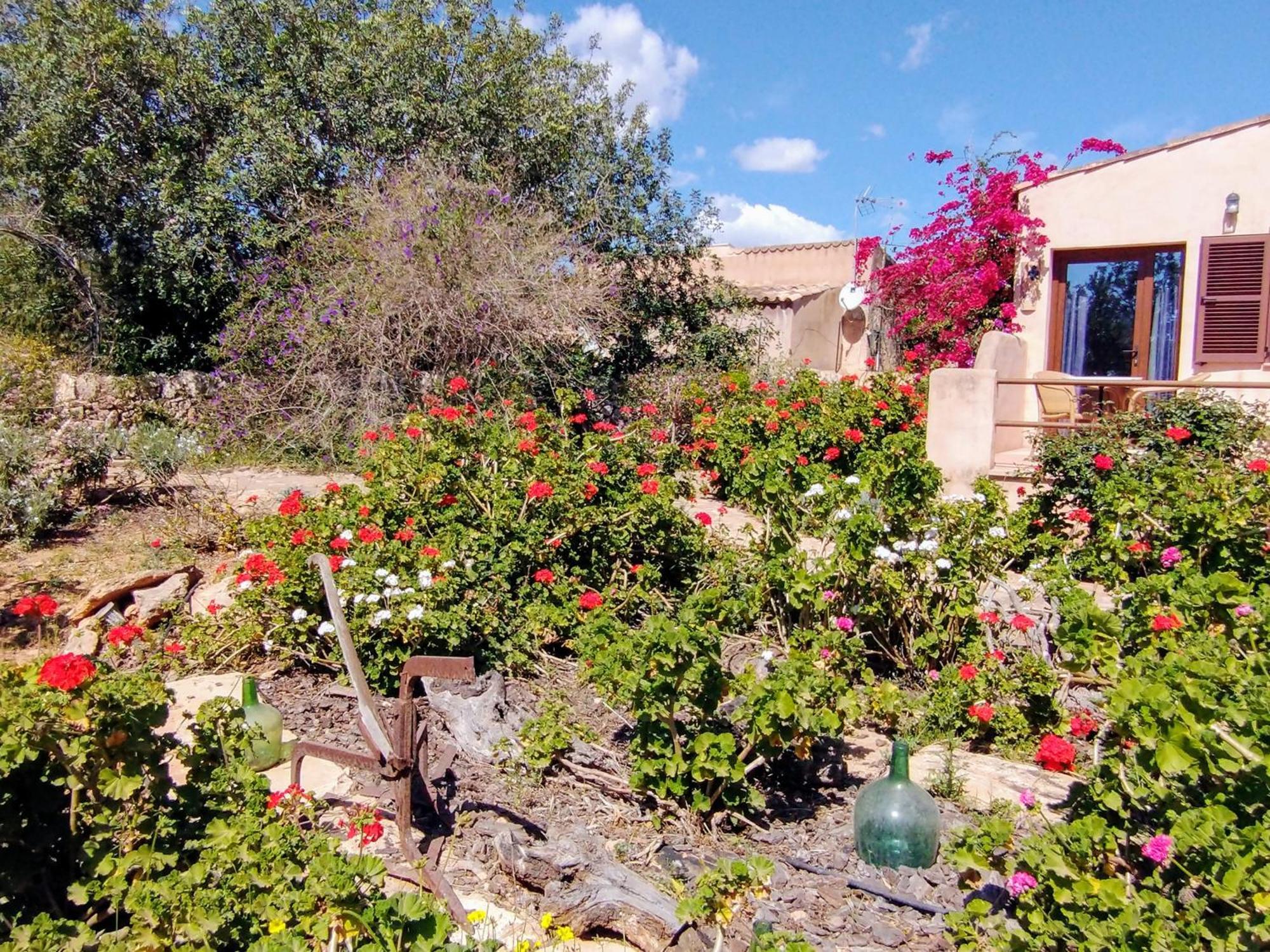 Finca Son Marimon (Adults Only) Santanyí Kültér fotó