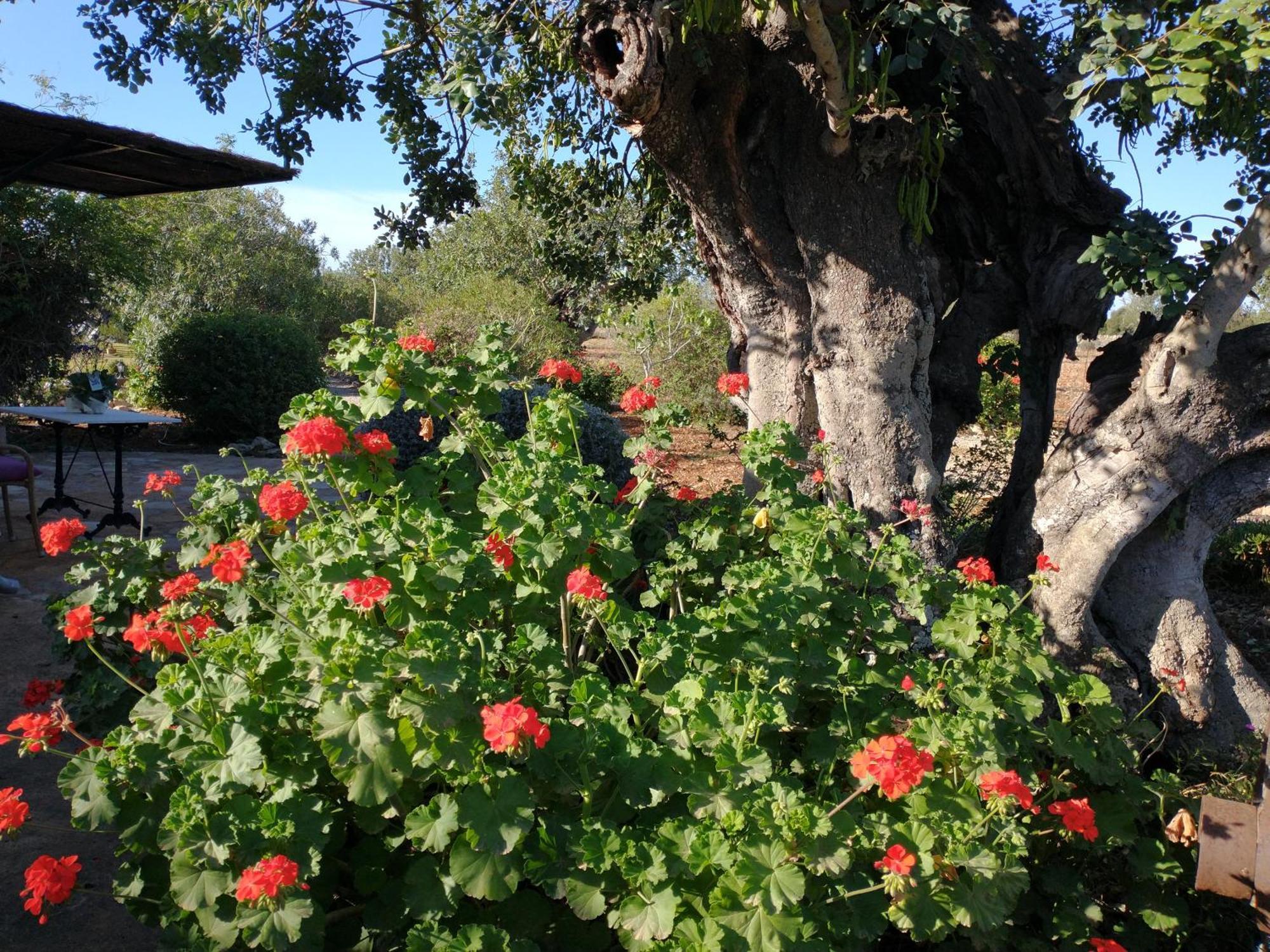 Finca Son Marimon (Adults Only) Santanyí Kültér fotó