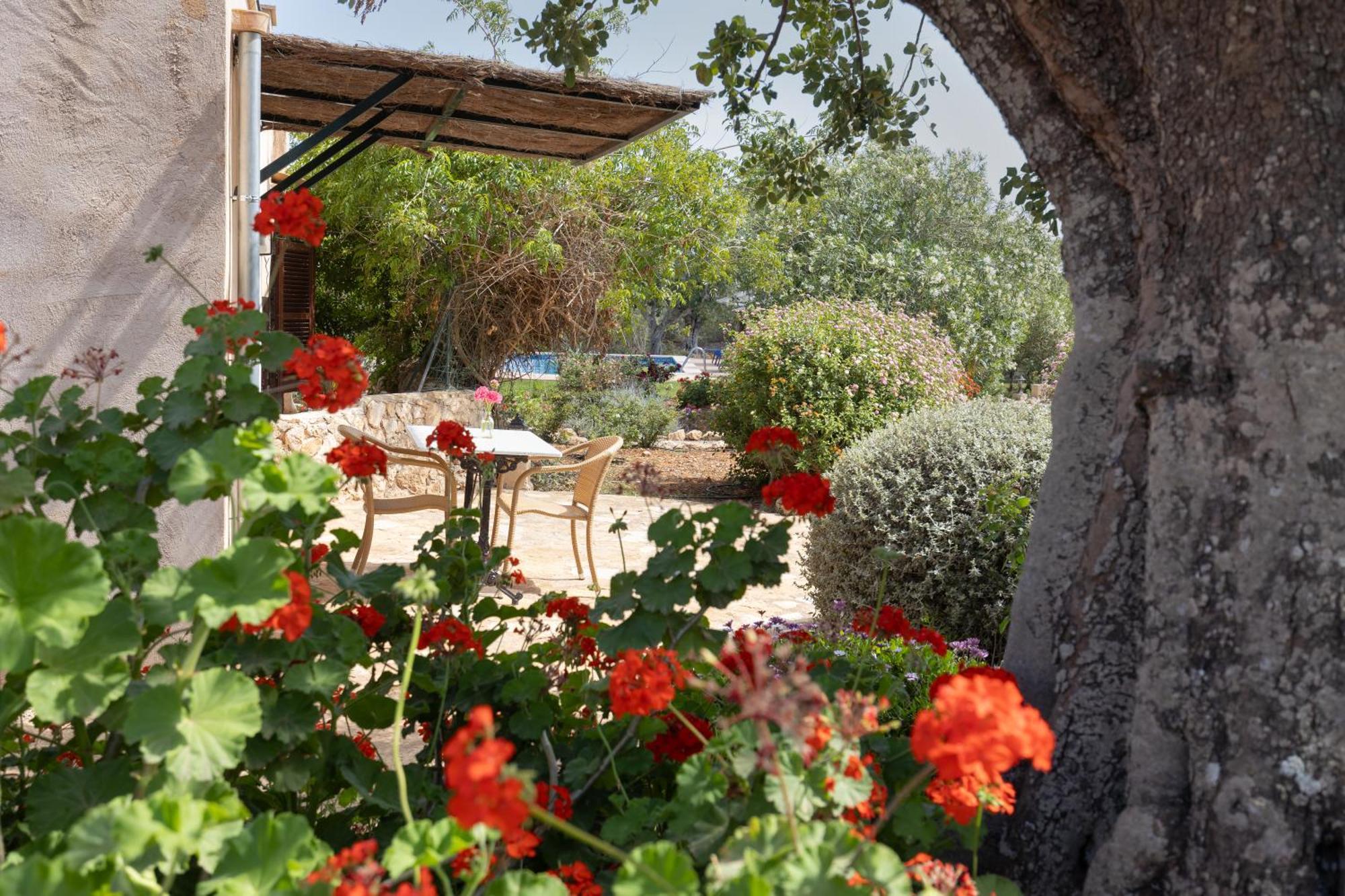 Finca Son Marimon (Adults Only) Santanyí Kültér fotó