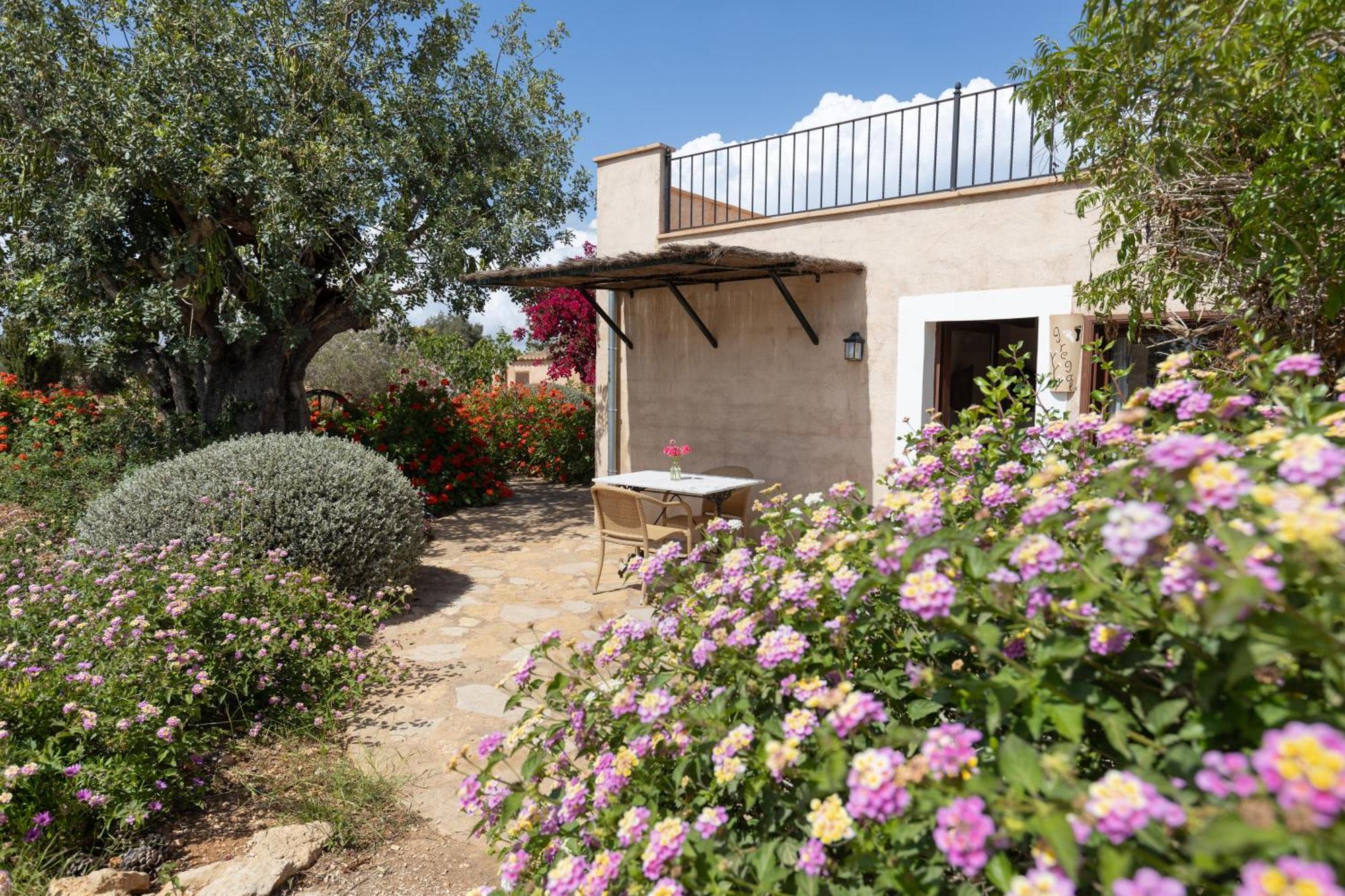 Finca Son Marimon (Adults Only) Santanyí Kültér fotó